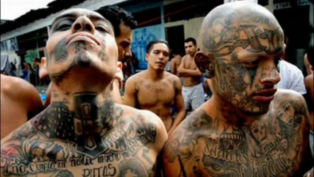 MS-13 gang